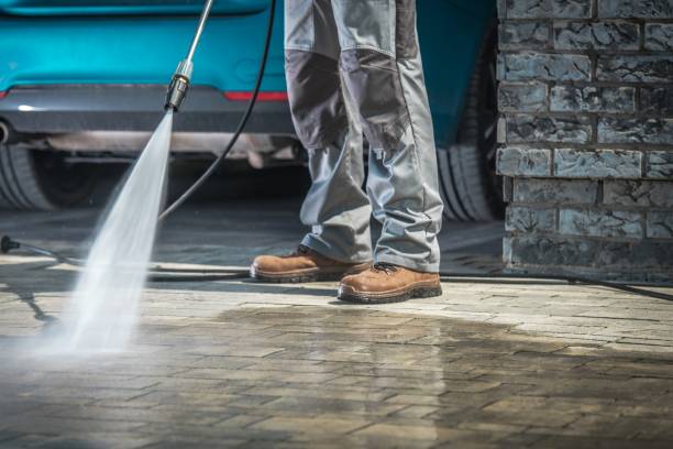 Best Parking Lot Cleaning in Kenyon, MN